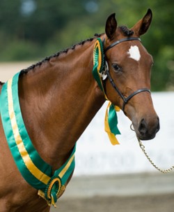 Photograph by kind permission of Greenlees Photography; copyright Greenlees Photography
